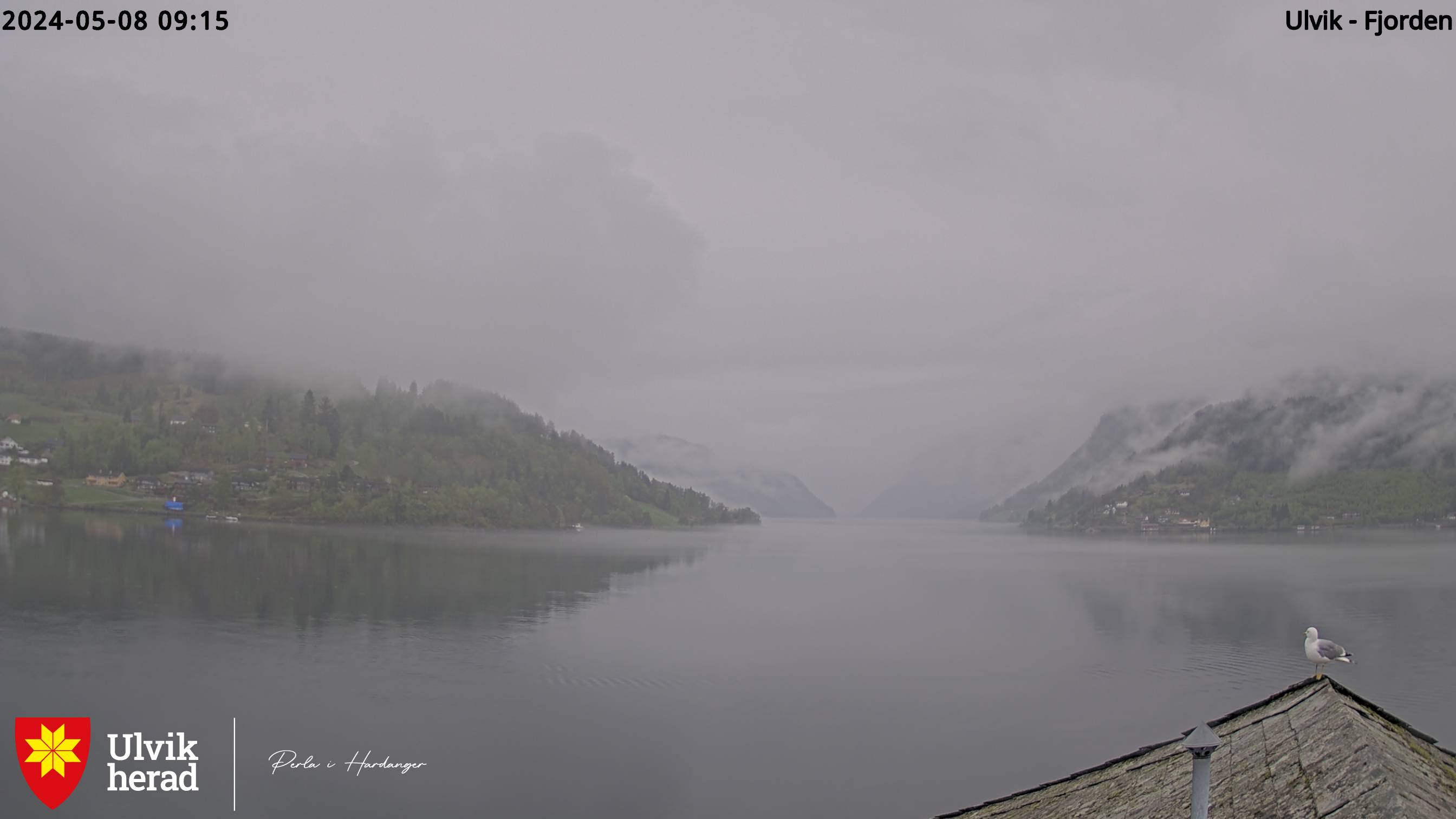 Bilde av Ulvik-Fjorden - Klikk for stort bilde